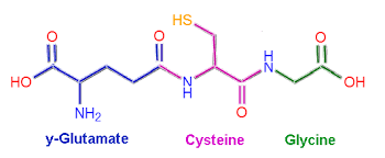 glutathione